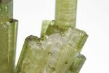 Pistachio-Green Elbaite Tourmaline Cluster - Skardu, Pakistan #207154-2